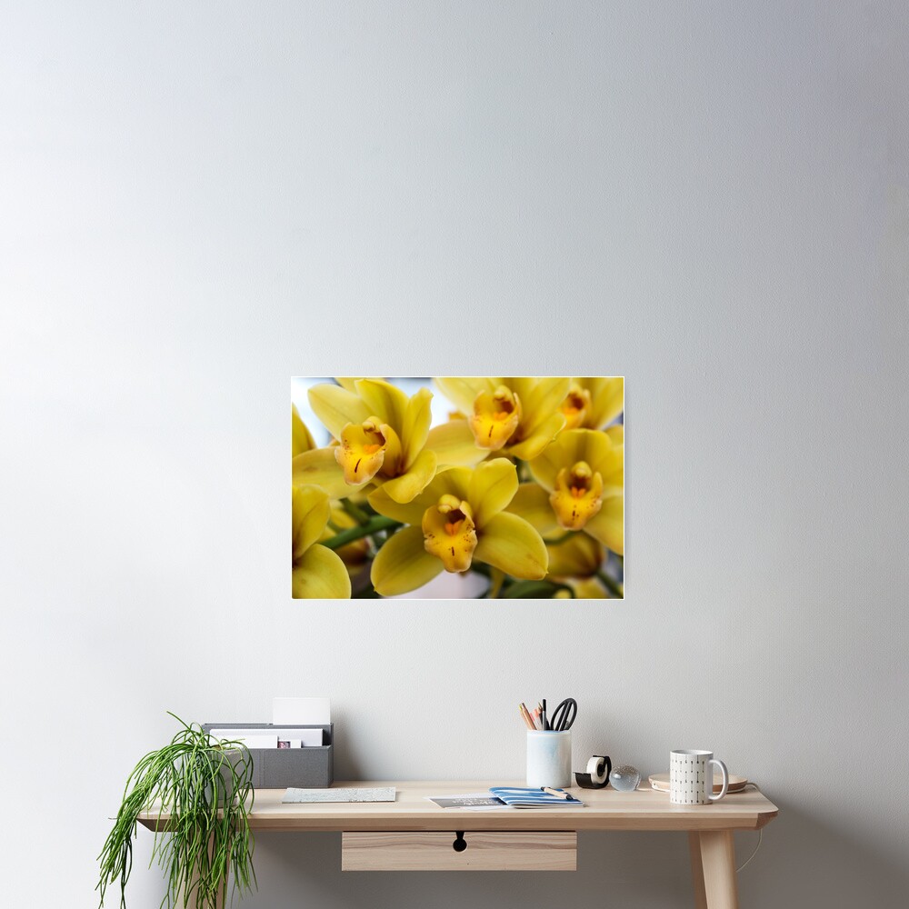 Item preview, Poster designed and sold by 2Canons.