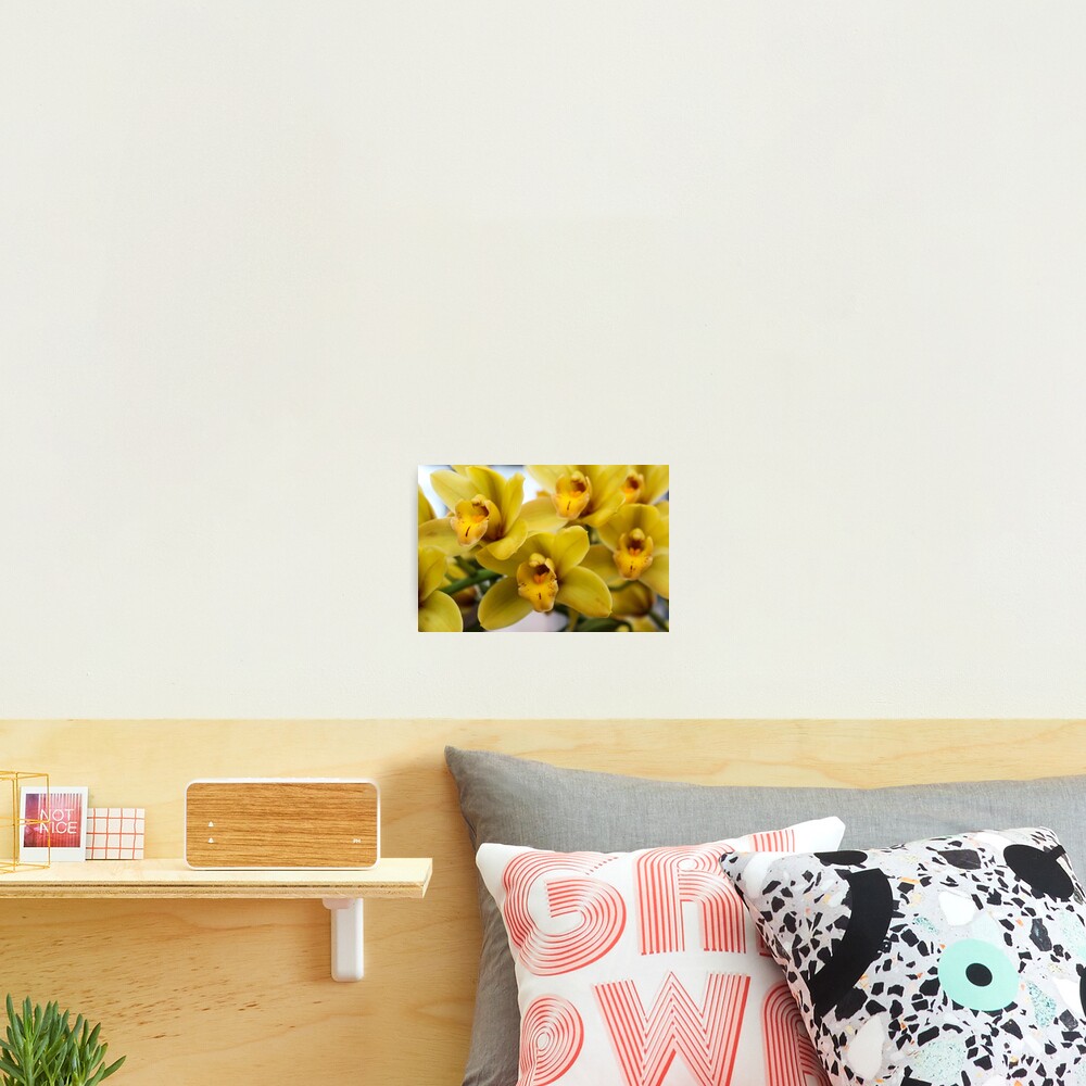 Item preview, Photographic Print designed and sold by 2Canons.
