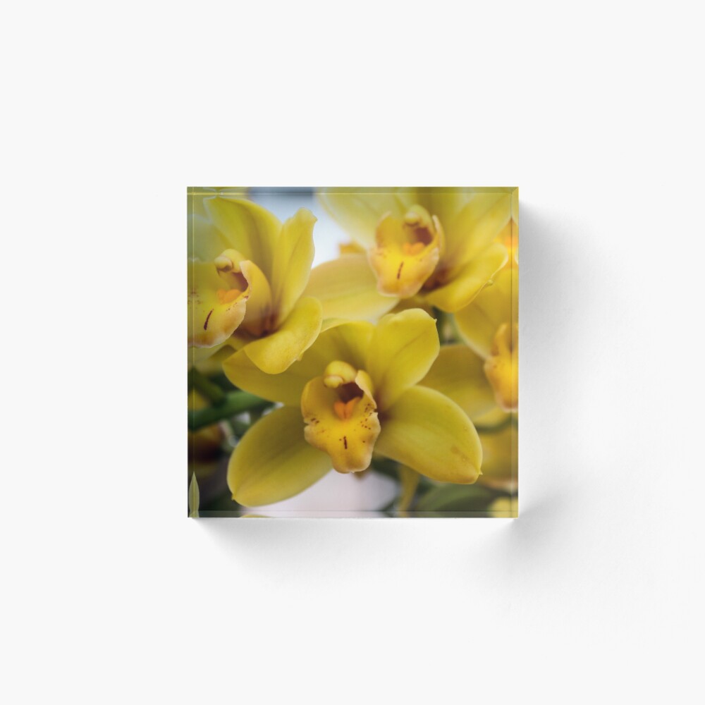 Item preview, Acrylic Block designed and sold by 2Canons.