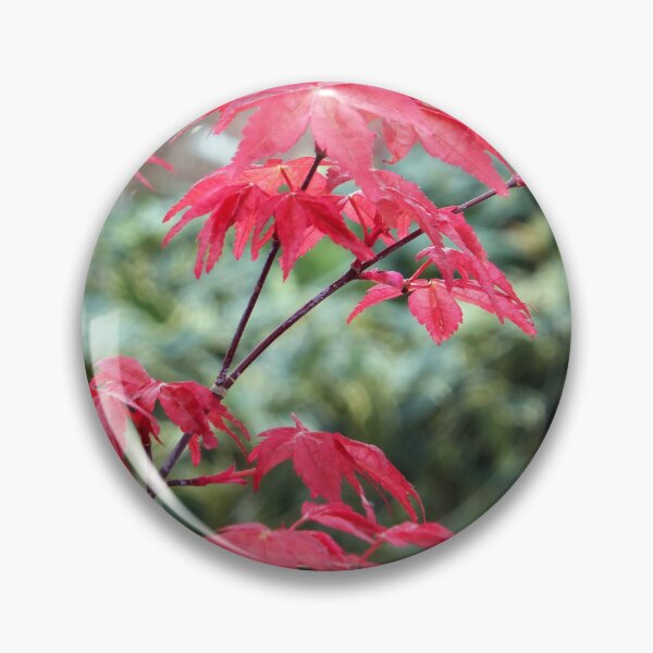 Item preview, Red Japanese Maple Leaves designed and sold by pinkal.