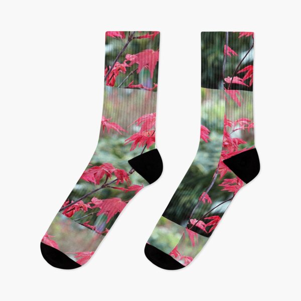 Item preview, Red Japanese Maple Leaves designed and sold by pinkal.