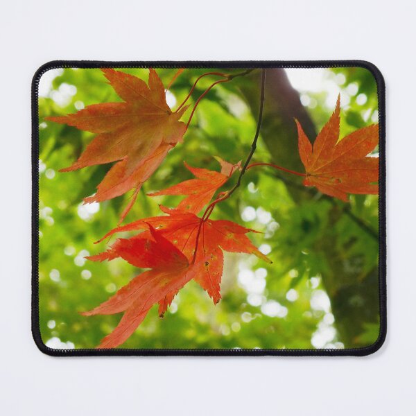 Item preview, Colourful Acer Leaves designed and sold by pinkal.