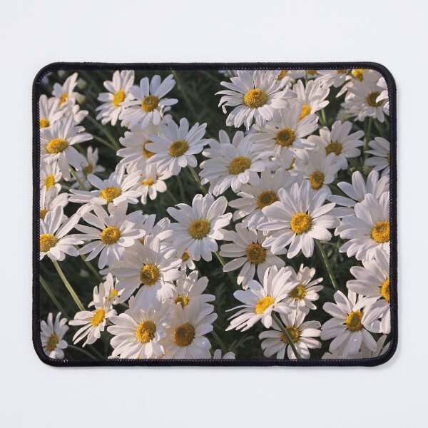 Item preview, Shasta Daisy designed and sold by pinkal.