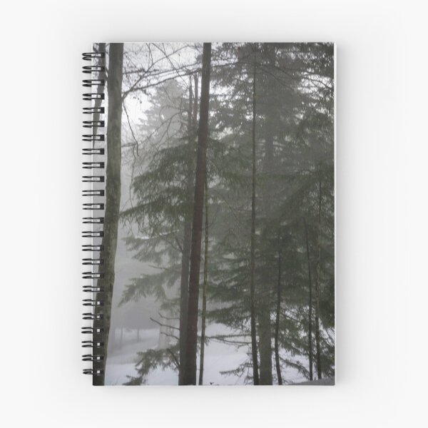 Item preview, forest designed and sold by paolo amiotti.