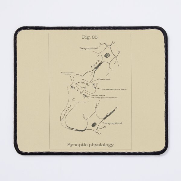 Item preview, Synapse physiology - Vintage Textbook Figure designed and sold by MicroMarket.