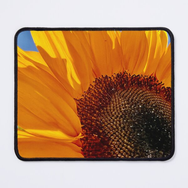 Item preview, Sunflower field designed and sold by superbdn.