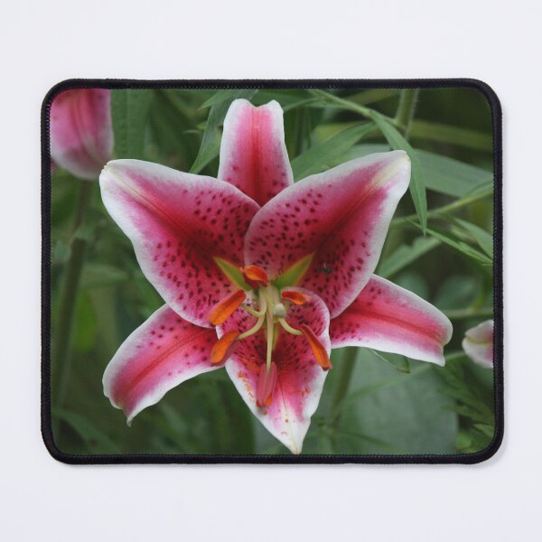 Item preview, Brilliant Lilly designed and sold by Artsy-Creator.