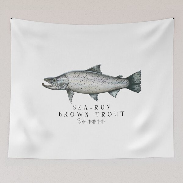 Item preview, Sea run brown trout designed and sold by titosr.