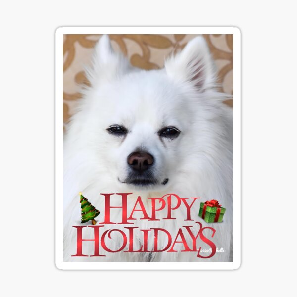 Item preview, Cool White American Eskimo Puppy Dog Wishing Happy Holidays designed and sold by Yogibear0009.