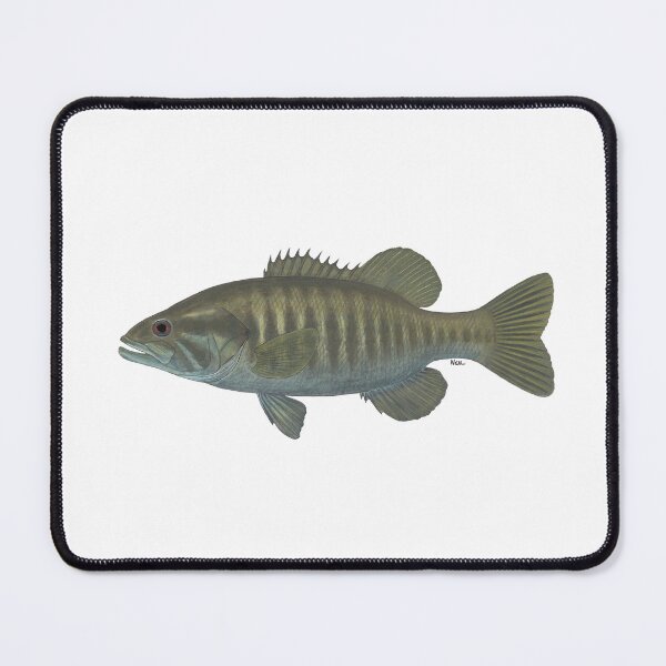 Item preview, Suwannee Bass (Micropterus notius) designed and sold by LeakyCanoeArt.