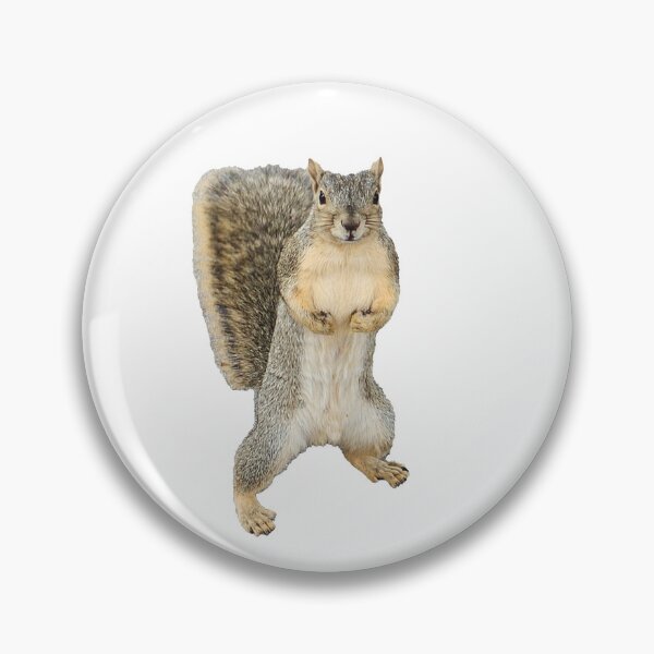 Item preview, Squirrel! designed and sold by miiikeo.