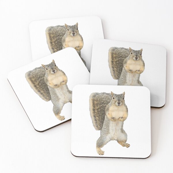 Item preview, Squirrel! designed and sold by miiikeo.