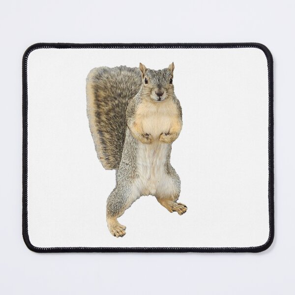Item preview, Squirrel! designed and sold by miiikeo.