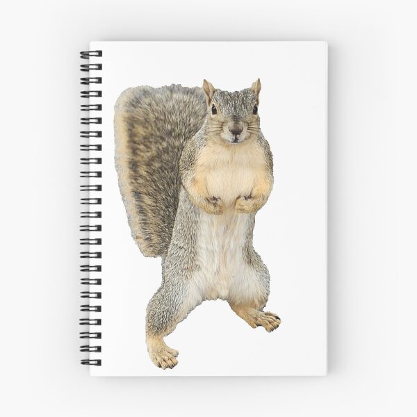 Item preview, Squirrel! designed and sold by miiikeo.