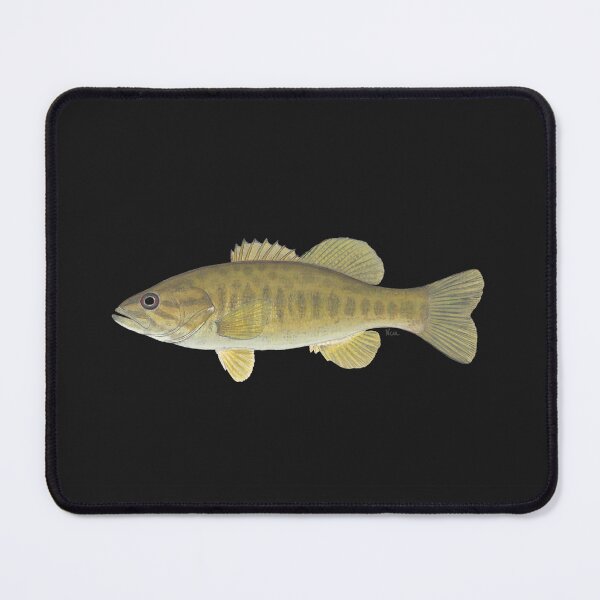 Item preview, Neosho Bass (Micropterus velox) designed and sold by LeakyCanoeArt.