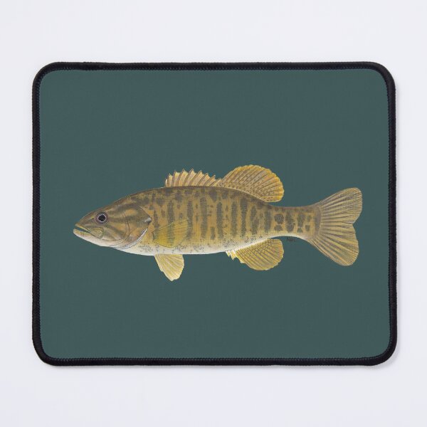 Item preview, Smallmouth Bass (Micropterus dolomieu) designed and sold by LeakyCanoeArt.