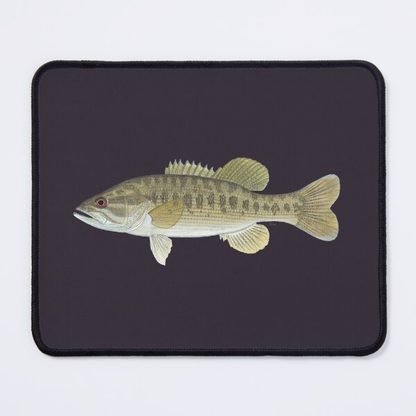 Item preview, Cahaba Bass (Micropterus cahabae) designed and sold by LeakyCanoeArt.