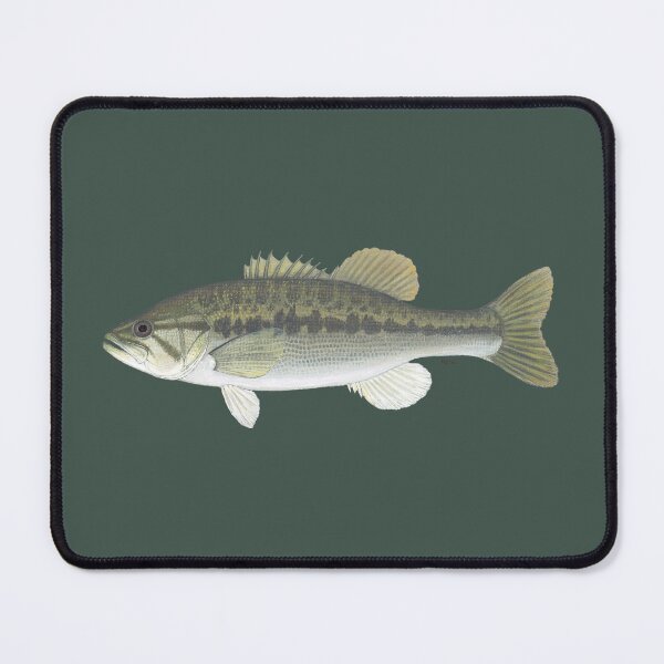 Item preview, Spotted Bass (Micropterus punctulatus) designed and sold by LeakyCanoeArt.