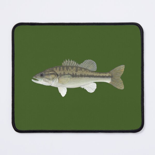 Item preview, Alabama Bass (Micropterus henshalli) designed and sold by LeakyCanoeArt.