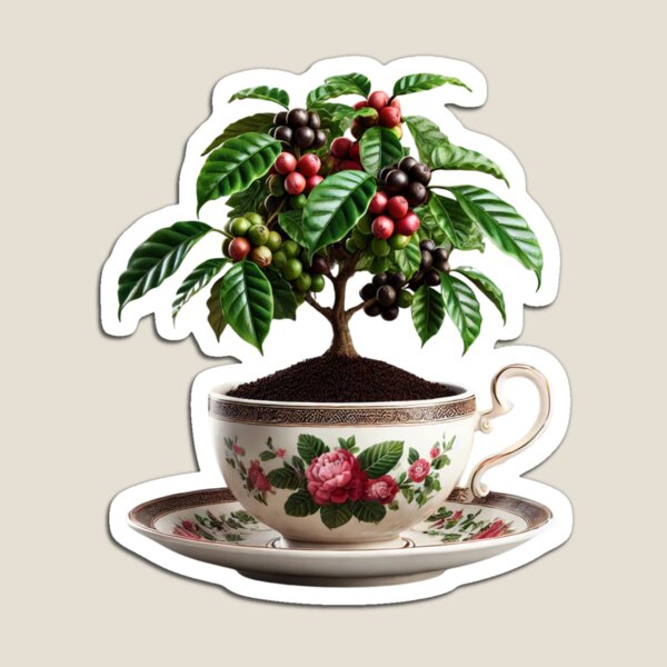 Item preview, Hevensgarden Bonsai Coffee Tree designed and sold by Hevensgarden.