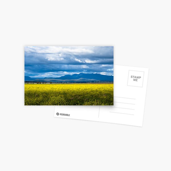 Item preview, Nandewar Range, east of Narrabri designed and sold by Elizabeth McPhee.