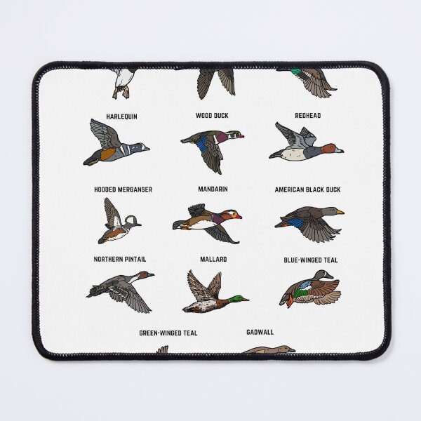 Item preview, Duck Hunter Duck Breeds | Duck Hunting Shirt Design | Academia Species Chart | Duckhunting Gifts | Duck Hunting Girl Gift Clipart |Ducks designed and sold by LorelaiS.