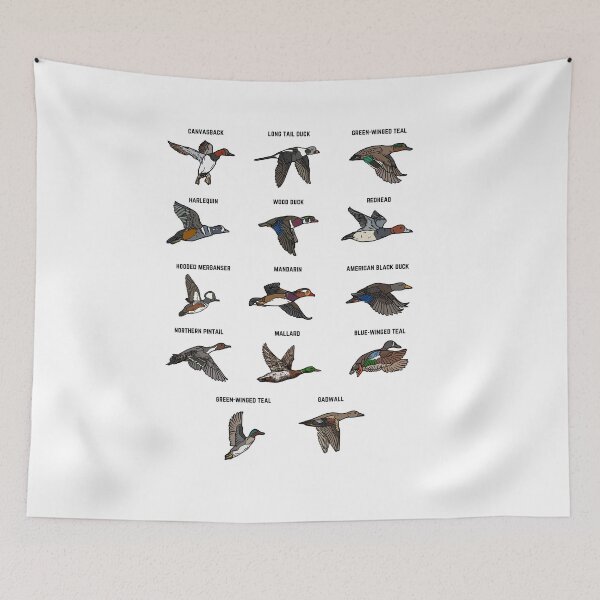 Item preview, Duck Hunter Duck Breeds | Duck Hunting Shirt Design | Academia Species Chart | Duckhunting Gifts | Duck Hunting Girl Gift Clipart |Ducks designed and sold by LorelaiS.