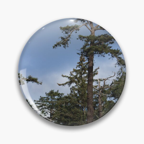 Item preview, Coastal Conifer Trees designed and sold by DesignEvolved.