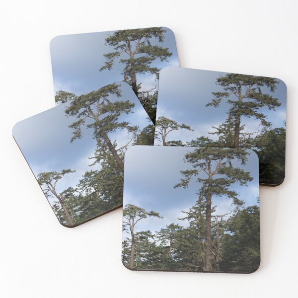 Item preview, Coastal Conifer Trees designed and sold by DesignEvolved.