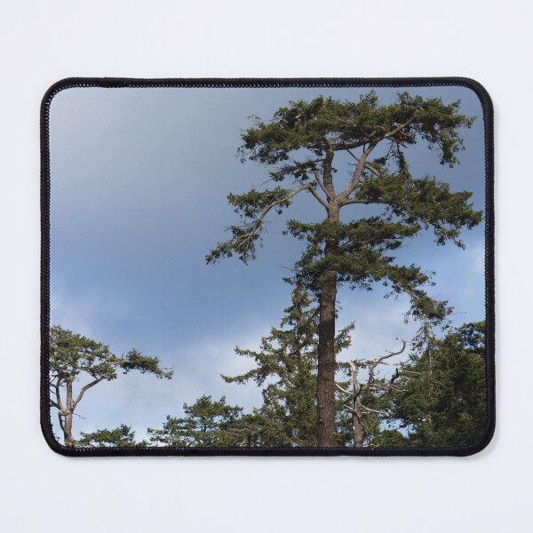 Item preview, Coastal Conifer Trees designed and sold by DesignEvolved.
