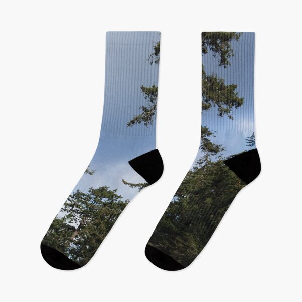 Item preview, Coastal Conifer Trees designed and sold by DesignEvolved.
