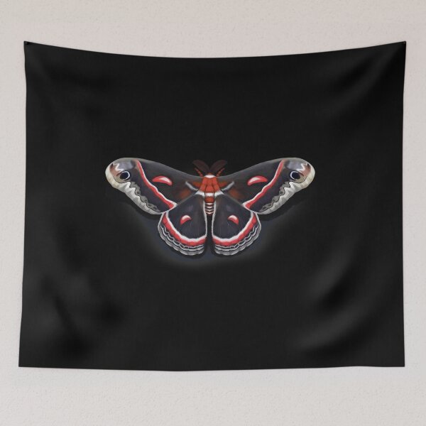 Item preview, Cecropias M.oth designed and sold by cocoshoppy.