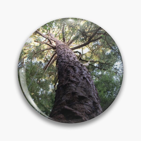 Item preview, Conifer Canopy designed and sold by DesignEvolved.