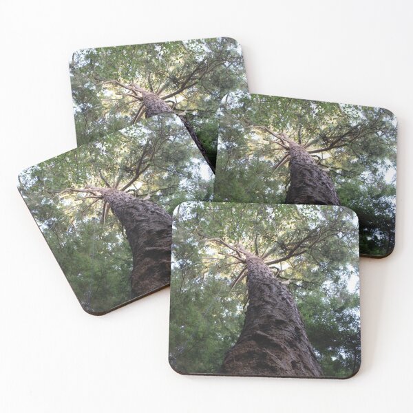 Item preview, Conifer Canopy designed and sold by DesignEvolved.