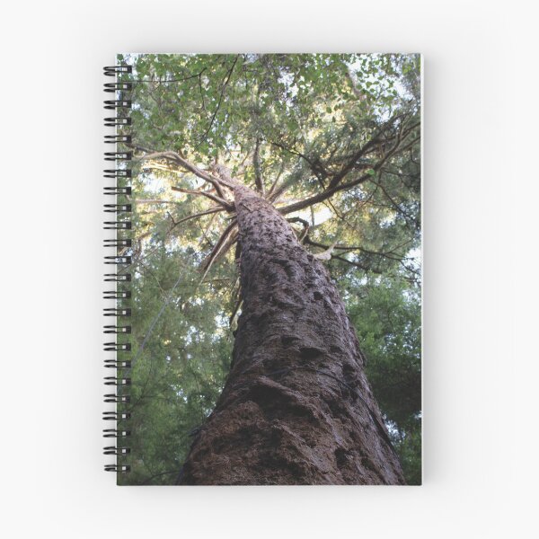Item preview, Conifer Canopy designed and sold by DesignEvolved.