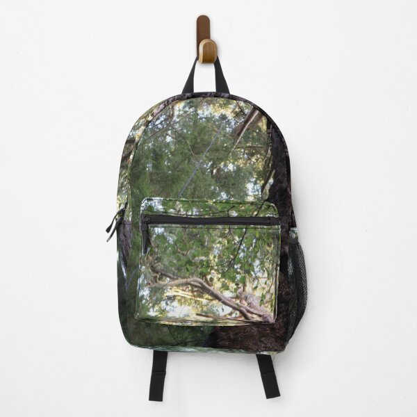 Item preview, Conifer Canopy designed and sold by DesignEvolved.