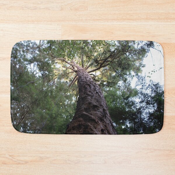 Item preview, Conifer Canopy designed and sold by DesignEvolved.