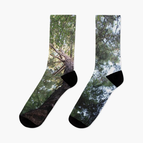 Item preview, Conifer Canopy designed and sold by DesignEvolved.