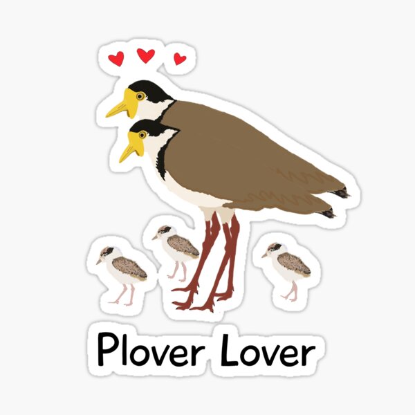 Item preview, Plover Lover designed and sold by Rob Price.