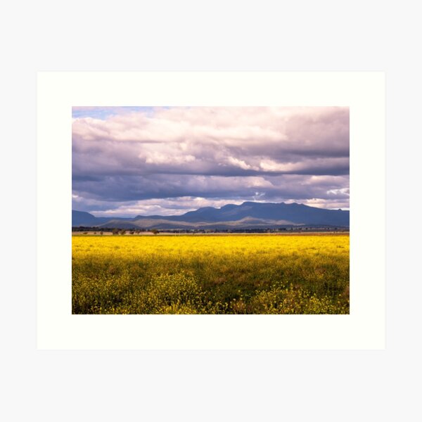 Item preview, Nandewar Range from east of Narrabri, NSW designed and sold by NarrabriCards.