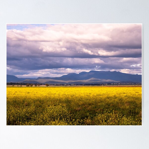 Item preview, Nandewar Range from east of Narrabri, NSW designed and sold by NarrabriCards.