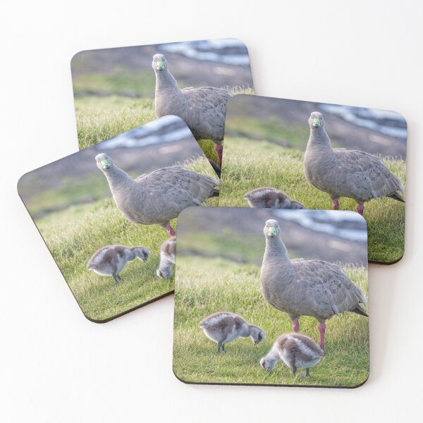 Item preview, Geese by Three  designed and sold by GaryParnell.