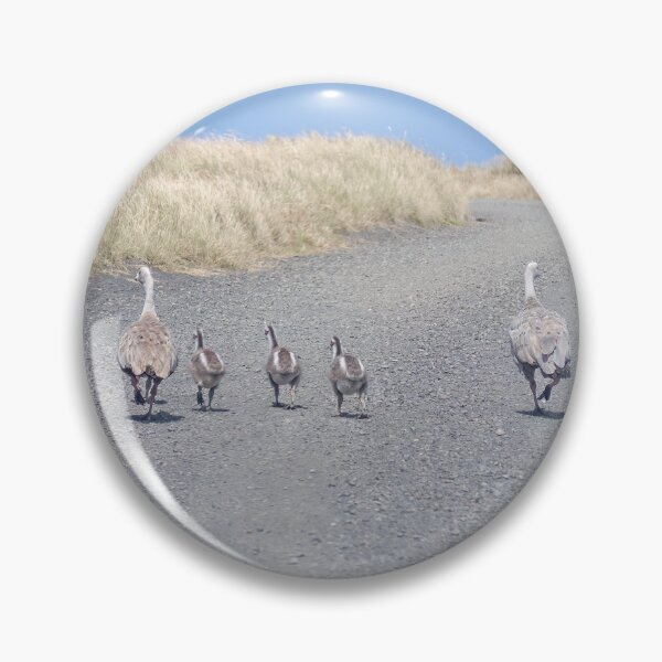 Item preview, Family of Cape Barren Geese  designed and sold by GaryParnell.