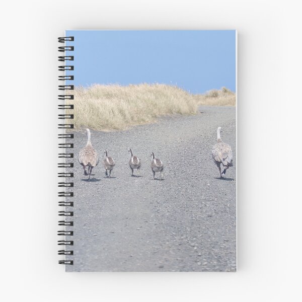 Item preview, Family of Cape Barren Geese  designed and sold by GaryParnell.
