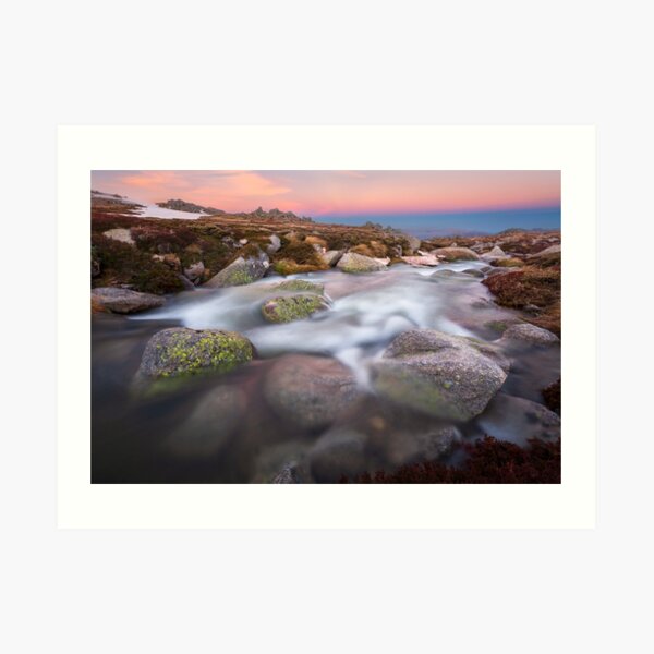 Art Print
