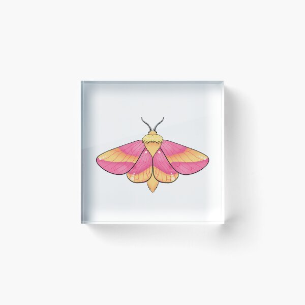 Item preview, Pink Star Moth designed and sold by S-MysticalMoons.