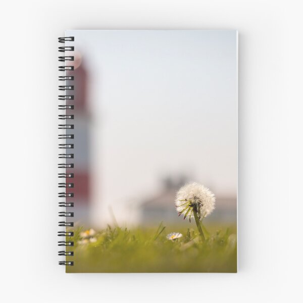 Item preview, Dandelion at Souter designed and sold by Great North Views.