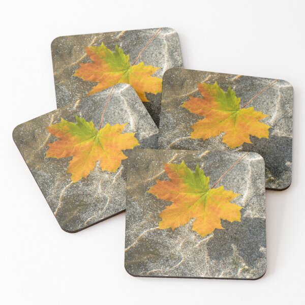 Item preview, Varicolored Maple Leaf Floating in Clear Water designed and sold by Georgia Mizuleva.