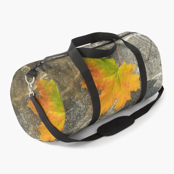 Item preview, Varicolored Maple Leaf Floating in Clear Water designed and sold by Georgia Mizuleva.