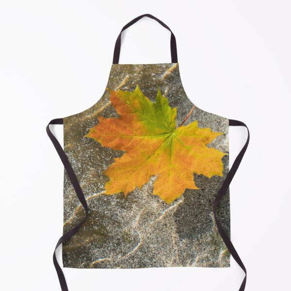 Item preview, Varicolored Maple Leaf Floating in Clear Water designed and sold by Georgia Mizuleva.